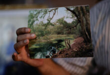 Conflicto entre Paraguay y Bolivia Revive en Color gracias a Historiador Digital