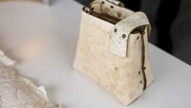 Latin America Weighs Fungal Leather Threat to Cattle Dominance