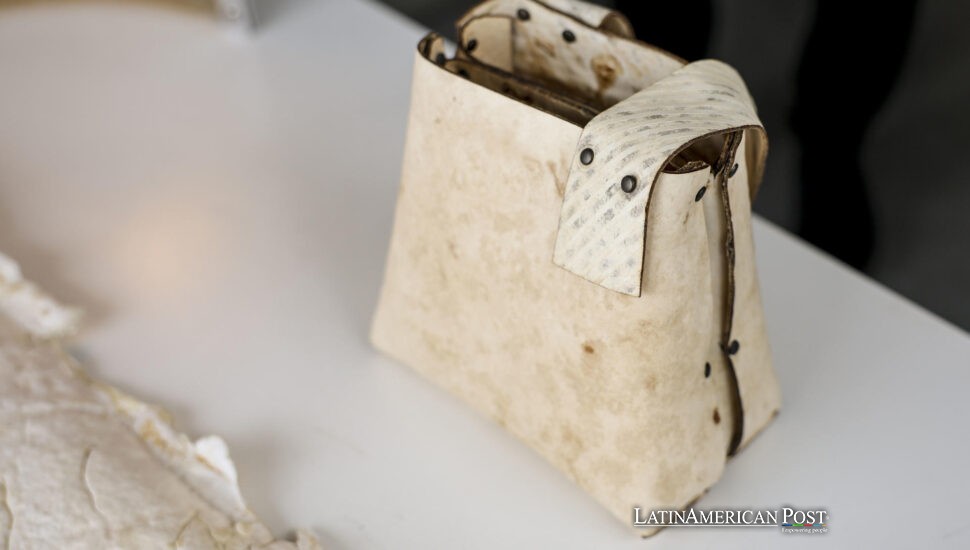 Latin America Weighs Fungal Leather Threat to Cattle Dominance Latin America Weighs Fungal Leather Threat to Cattle Dominance