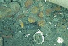 Colombia Treasure Hunt Deepens As San José Coins Reveal Lima Origin