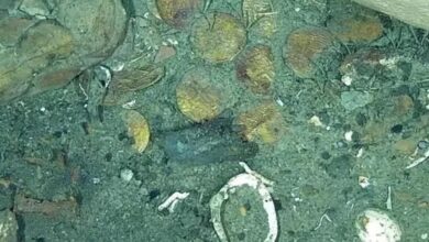 Colombia Treasure Hunt Deepens As San José Coins Reveal Lima Origin