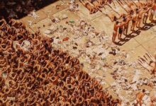 Carandiru Still haunts Brazil and its Prisons Keep Breeding the Same Violence