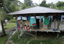 Colombia’s Pacific Families Gain Hope as Courts Return Ancestral Lands