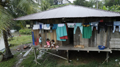 Colombia’s Pacific Families Gain Hope as Courts Return Ancestral Lands