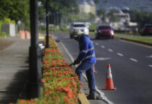 El regreso desigual de Panamá: tras los titulares de crecimiento, una crisis laboral se extiende desde los puertos hasta los campos bananeros