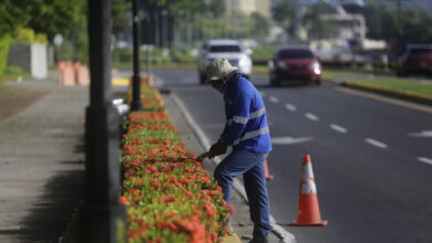 El regreso desigual de Panamá: tras los titulares de crecimiento, una crisis laboral se extiende desde los puertos hasta los campos bananeros
