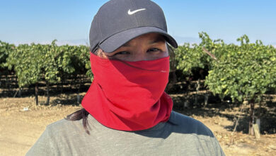 Campos de Miedo: Dentro de las Vidas Ocultas de los Migrantes Latinos que lo Arriesgan Todo para Alimentar a EE.UU.