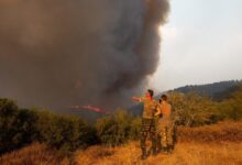 Fires Devastate Crete and Athens as Greece Faces One of Its Worst Summer Crises