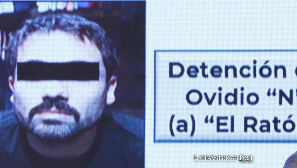 “El Ratón” habla: ¿Romperá el hijo de El Chapo el código del narco en una corte de Chicago? “El Ratón” habla: ¿Romperá el hijo de El Chapo el código del narco en una corte de Chicago?