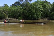 Cómo Colombia y Ecuador Están Reescribiendo las Leyes para Escuchar a la Naturaleza Misma