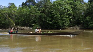 Cómo Colombia y Ecuador Están Reescribiendo las Leyes para Escuchar a la Naturaleza Misma