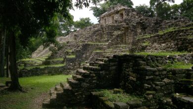 México, Guatemala y Belice se unen para proteger la Selva Maya