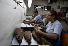 How the Dominican Republic Rolled Its Cultural Soul into the World’s Finest Cigars