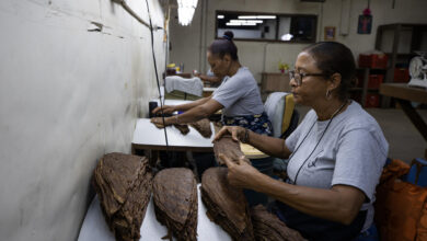 Cómo la República Dominicana envolvió su alma cultural en los mejores cigarros del mundo