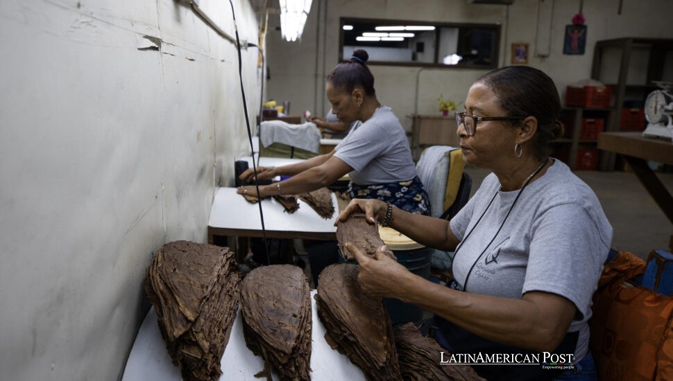 How the Dominican Republic Rolled Its Cultural Soul into the World’s Finest Cigars How the Dominican Republic Rolled Its Cultural Soul into the World’s Finest Cigars