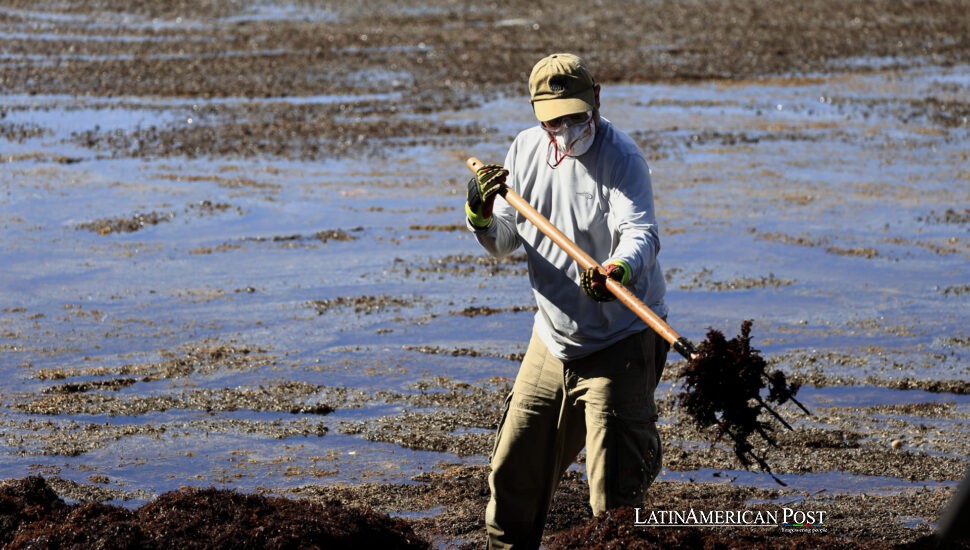 Puerto Rico Battles Sargassum with Shovels, Drones, and Sheer Willpower