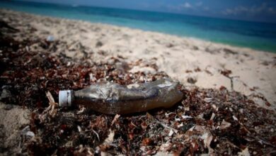 Las botellas de plástico están asfixiando a Centroamérica —y cada una cuenta una historia