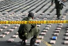 Mexico Case Unravels Cartel Empire from Tennessee Crash to Kingpins