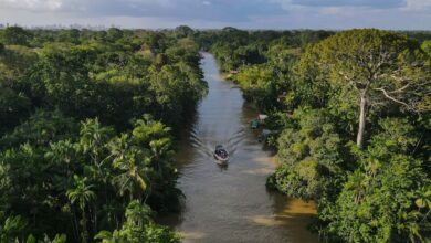 El rastro del mercurio: cómo la nueva fiebre del oro en América Latina está envenenando la Amazonía