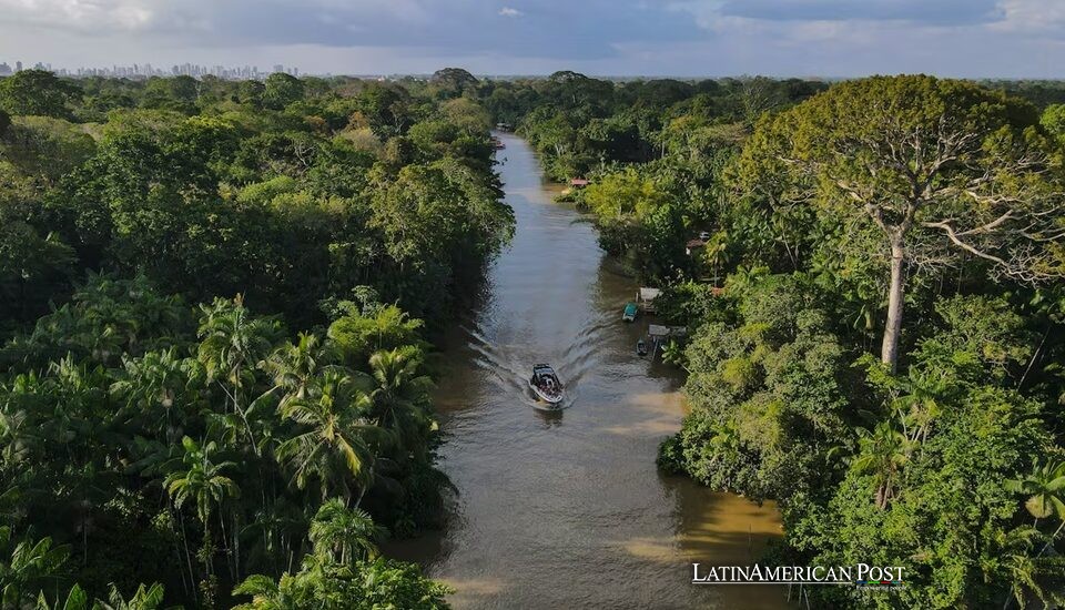 El rastro del mercurio: cómo la nueva fiebre del oro en América Latina está envenenando la Amazonía El rastro del mercurio: cómo la nueva fiebre del oro en América Latina está envenenando la Amazonía