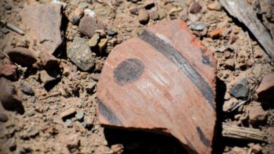 Tiwanaku Temple Hiding in Plain Sight Rewrites Maps in Bolivia
