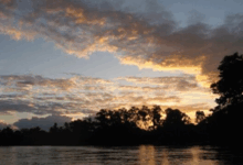 Rediscovered Jungle Fortress in Chiapas Revives Maya Resistance to Spanish Conquest