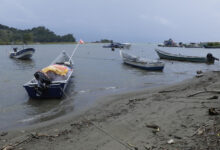 After the Migrant Boom, Colombians Struggle to Rebuild Their Caribbean Economies