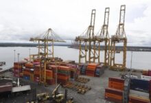 El Puerto de Posorja en Ecuador se Convierte en la Puerta de Entrada de la Cocaína a Europa Pese a los Escáneres