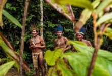 Peru’s Forgotten Genocide: How Rubber Still Haunts the Amazon