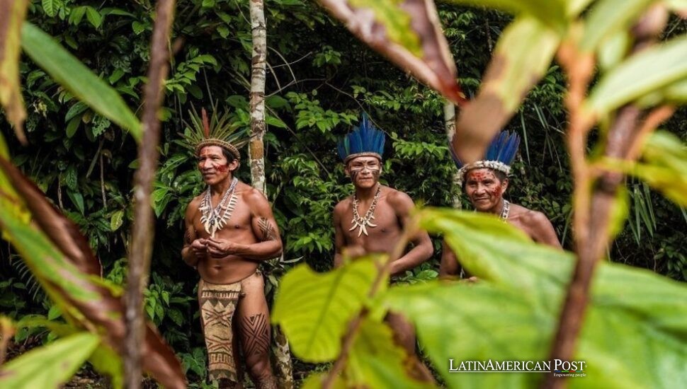 Peru’s Forgotten Genocide: How Rubber Still Haunts the Amazon Peru’s Forgotten Genocide: How Rubber Still Haunts the Amazon
