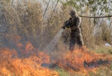 Brazil’s Amazon Fire Fight: From Confrontation to Cooperation