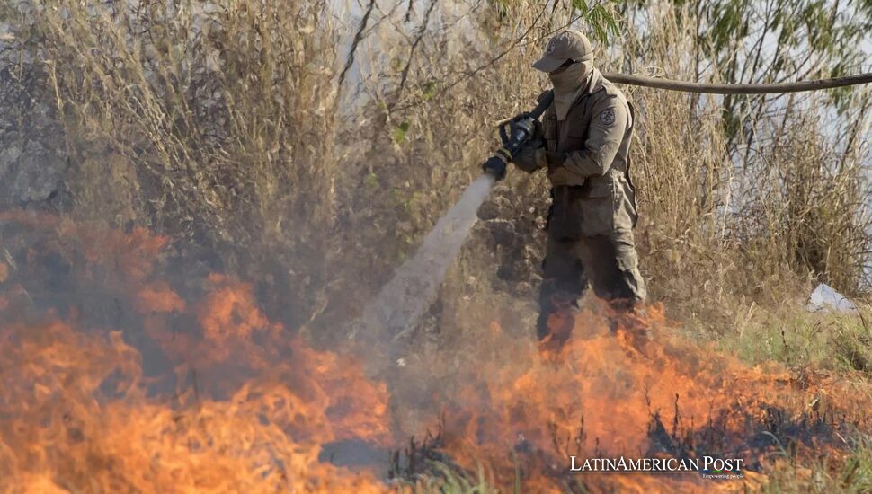 Brazil’s Amazon Fire Fight: From Confrontation to Cooperation Brazil’s Amazon Fire Fight: From Confrontation to Cooperation