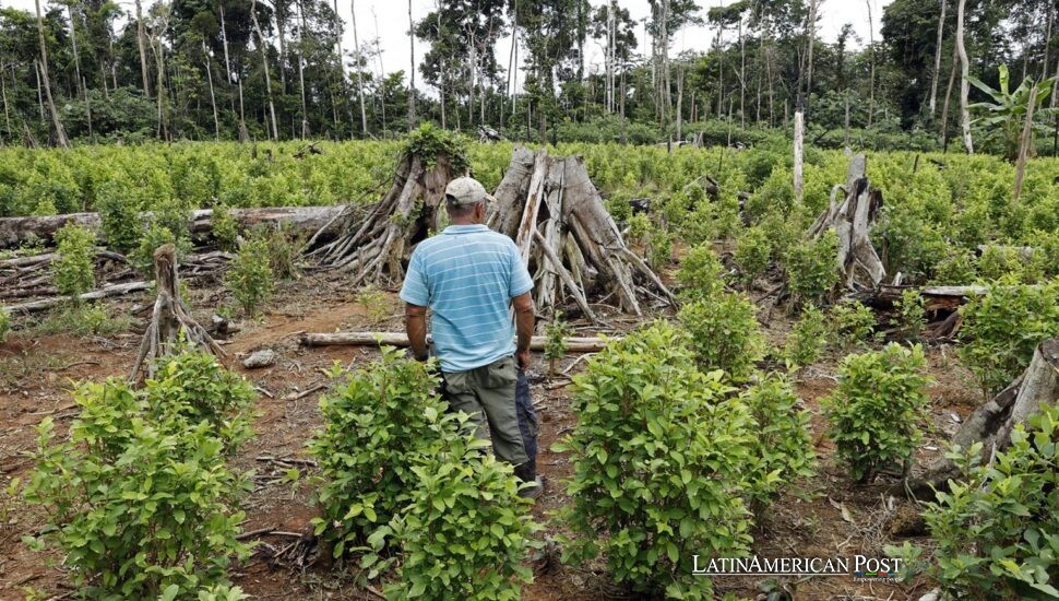 El cañón de la coca en Colombia se convierte en crisol del plan de paz de Petro y de la paciencia de Washington El cañón de la coca en Colombia se convierte en crisol del plan de paz de Petro y de la paciencia de Washington