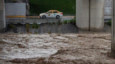 Mexico City Floods Meet an Unlikely Culprit: Dog Poop, Hair, and the Wrong Bins