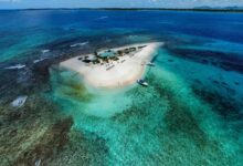 How Anguilla’s .ai Domain Became the Caribbean’s Hottest Export
