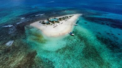 Cómo el dominio .ai de Anguila se convirtió en la exportación más candente del Caribe
