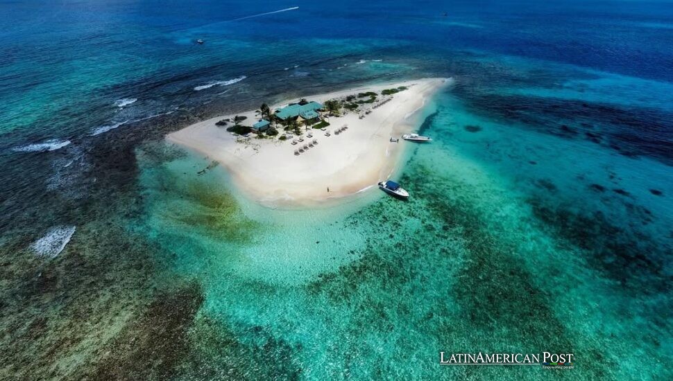How Anguilla’s .ai Domain Became the Caribbean’s Hottest Export How Anguilla’s .ai Domain Became the Caribbean’s Hottest Export