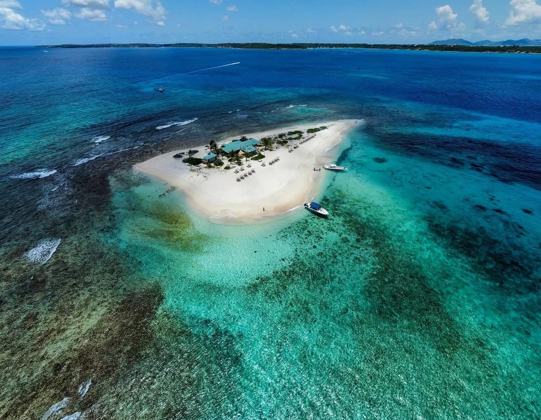 How Anguilla’s .ai Domain Became the Caribbean’s Hottest Export