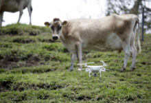 Drones, Dairy, and a Denomination: How Turrialba Is Digitizing Costa Rica’s Countryside