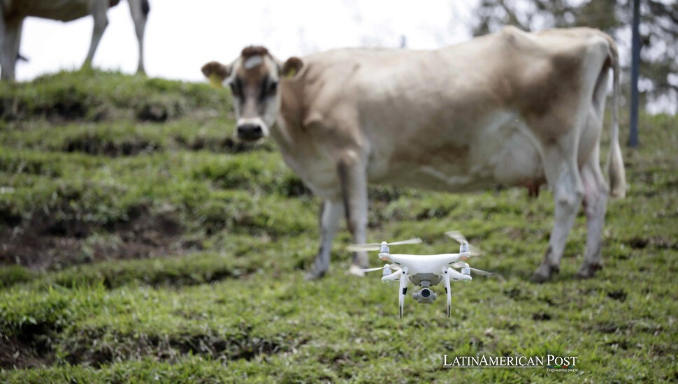 Drones, lácteos y una denominación: cómo Turrialba está digitalizando el campo de Costa Rica Drones, lácteos y una denominación: cómo Turrialba está digitalizando el campo de Costa Rica