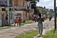 Cuba lucha contra el dolor y los mosquitos mientras el chikungunya se propaga como un rumor Cuba lucha contra el dolor y los mosquitos mientras el chikungunya se propaga como un rumor