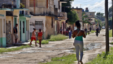 Cuba lucha contra el dolor y los mosquitos mientras el chikungunya se propaga como un rumor Cuba lucha contra el dolor y los mosquitos mientras el chikungunya se propaga como un rumor