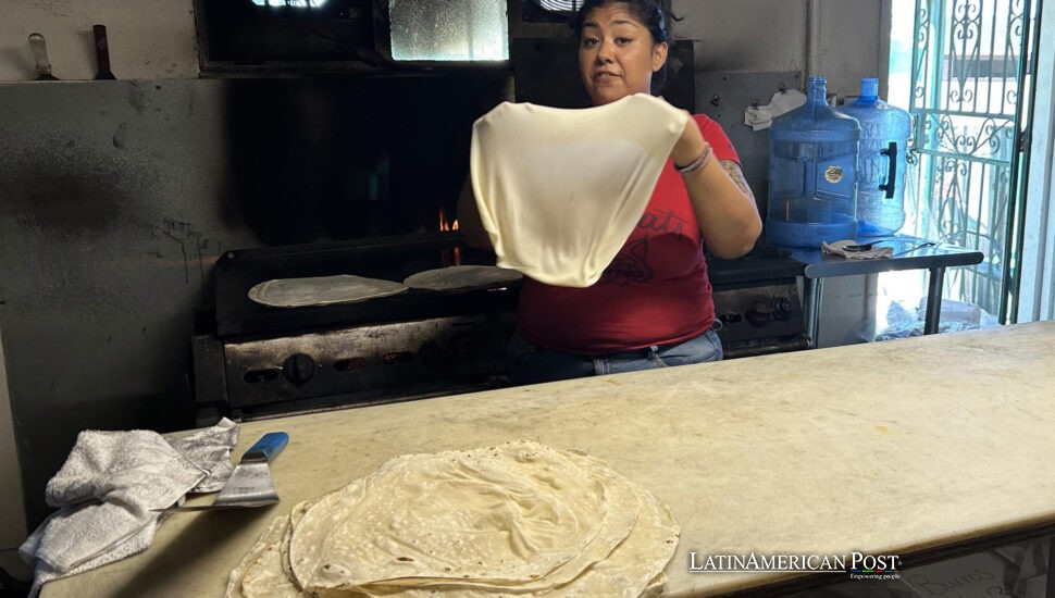 Una tortillería que se negó a desaparecer: el alma hispana del Barrio Anita en Tucson Una tortillería que se negó a desaparecer: el alma hispana del Barrio Anita en Tucson