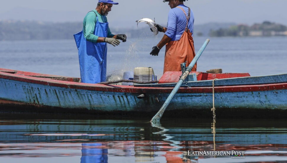 Los Guardianes del Mar de Brasil extraen esperanza del lodo Los Guardianes del Mar de Brasil extraen esperanza del lodo