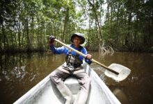 Secretos de los manglares de Belice: Cómo los hogares invisibles mayas están reescribiendo la historia costera