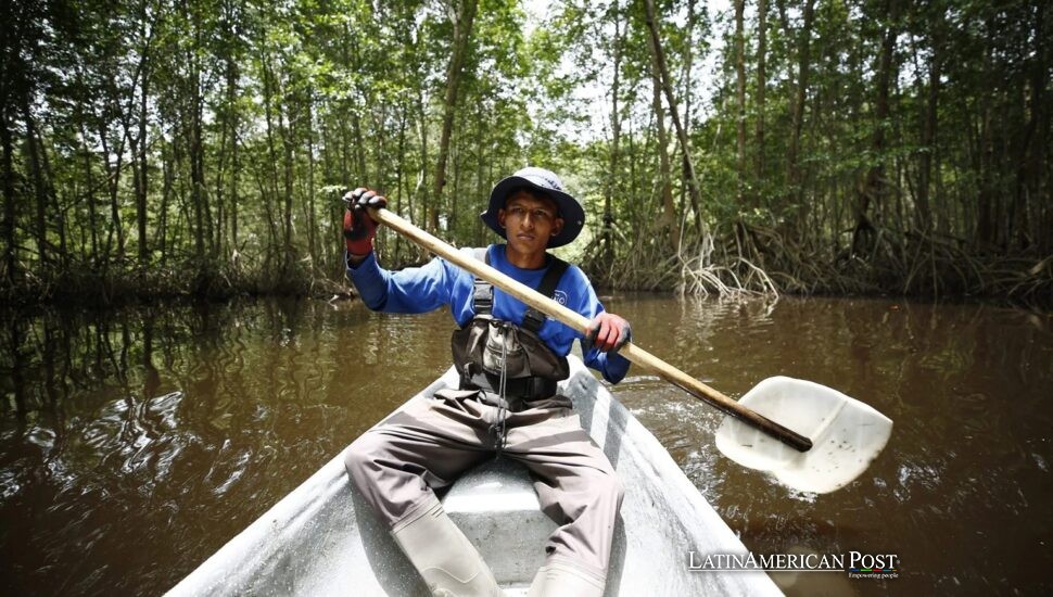 Secretos de los manglares de Belice: Cómo los hogares invisibles mayas están reescribiendo la historia costera Secretos de los manglares de Belice: Cómo los hogares invisibles mayas están reescribiendo la historia costera