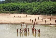 The Vanishing Line: Peru’s Mashco Piro and the Village Caught Between Worlds