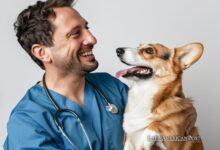 Complete Guide to Veterinary Care for Healthy, Happy Pets