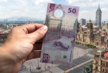 El billete mexicano del ajolote convierte a la pequeña salamandra en tesoro nacional hoy