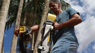 El robot que trepa por el bosque: cómo la Amazonía brasileña convierte la innovación en supervivencia